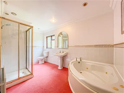 Picture 18